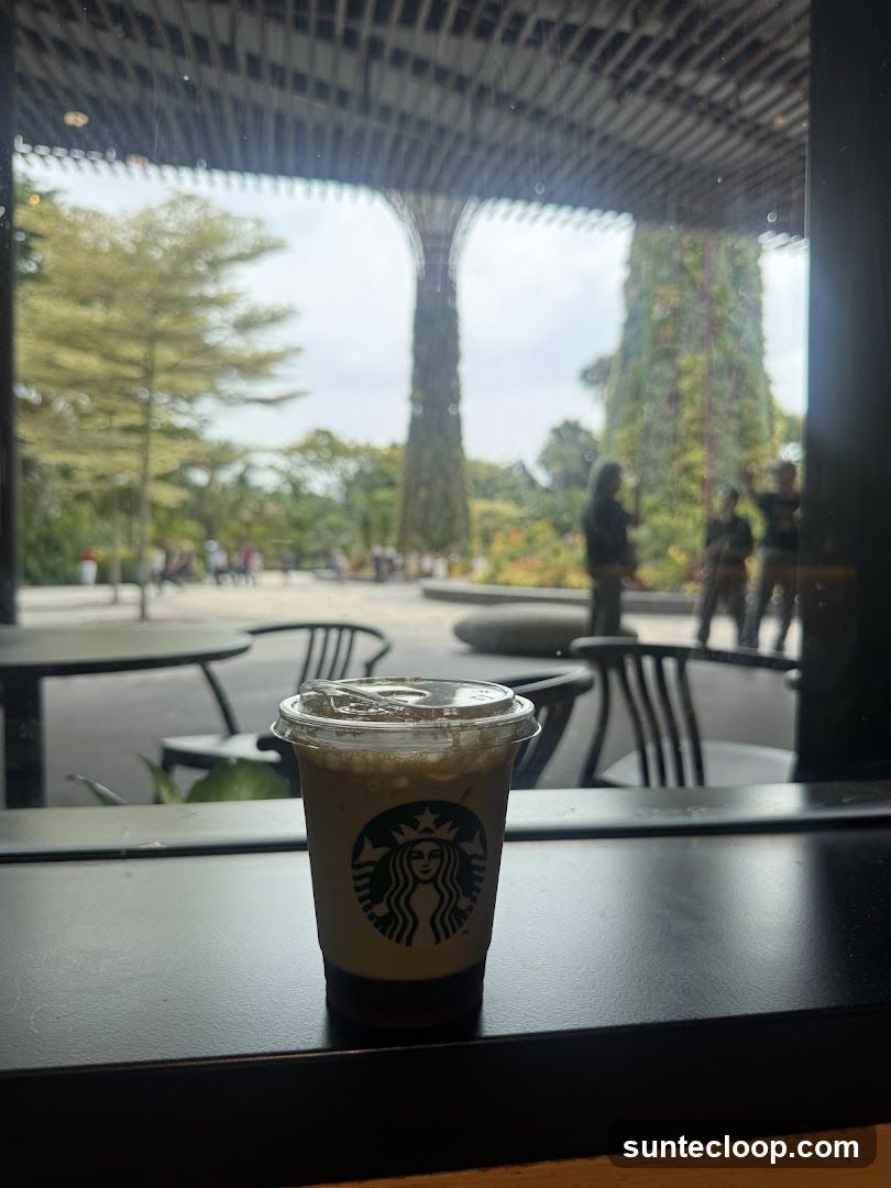 Starbucks Drink with Garden View