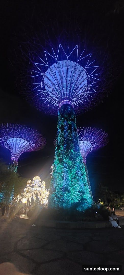 Gardens by the Bay Supertrees at Night