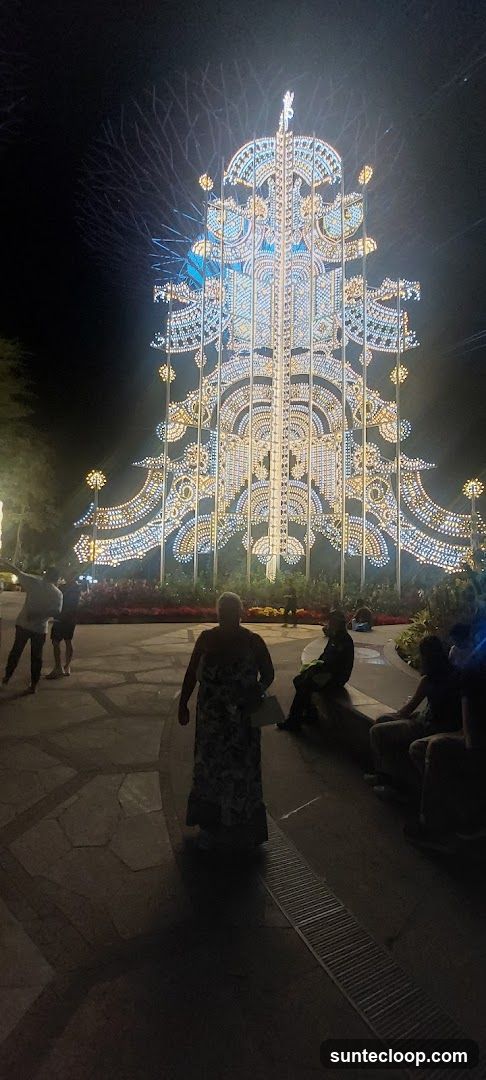 Illuminated Christmas Tree Display