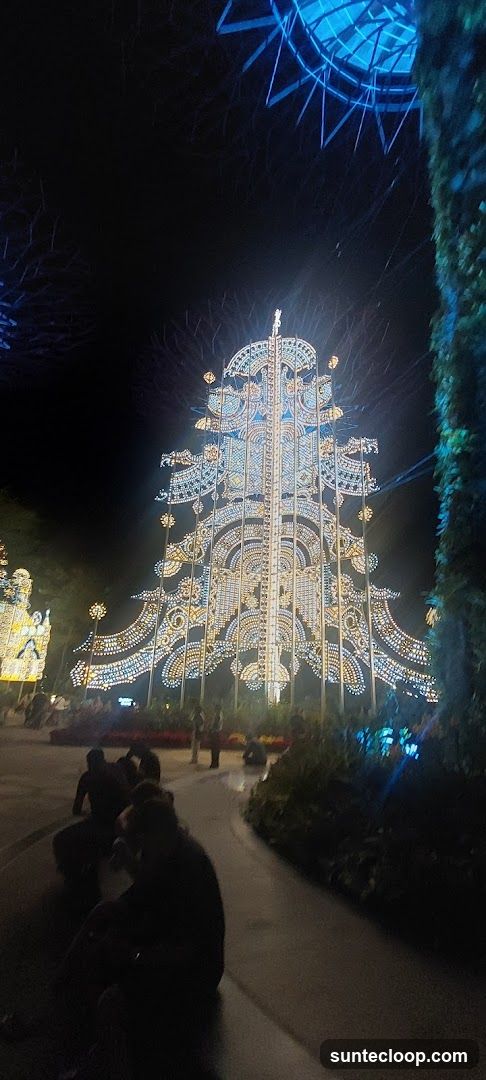 Illuminated Christmas Tree Display