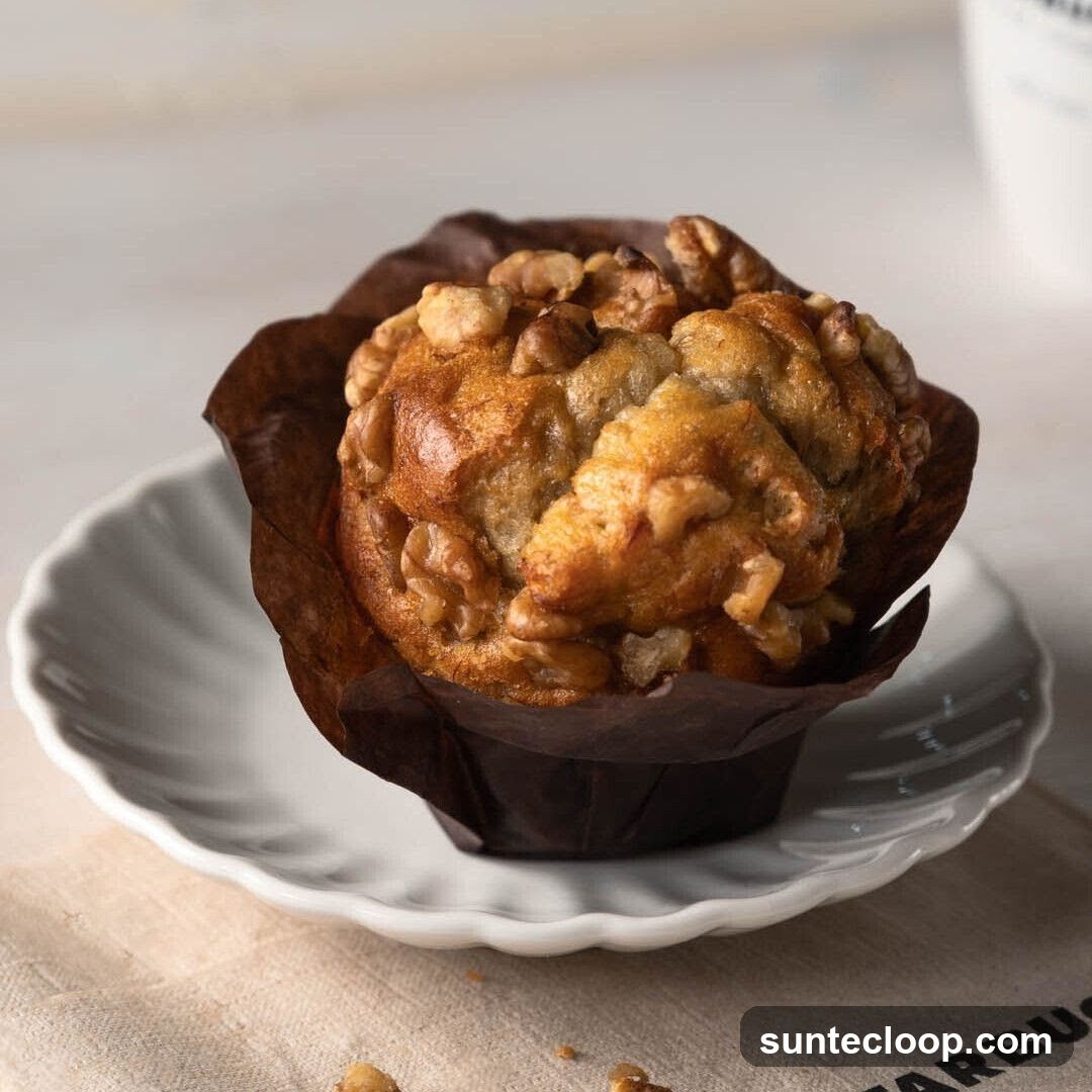 Walnut Muffin