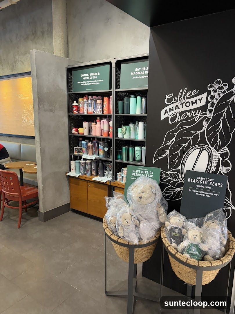 Starbucks Merchandise Display