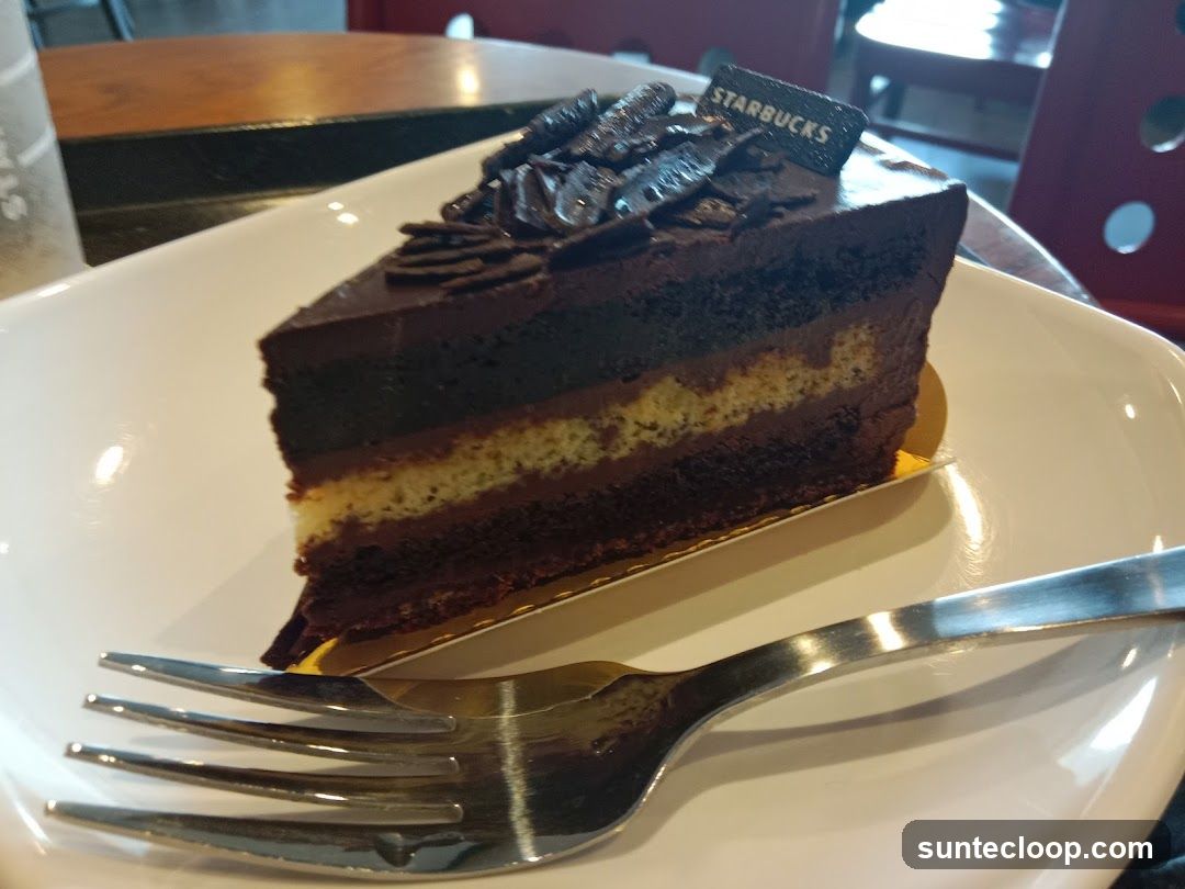 Chocolate Cake Slice