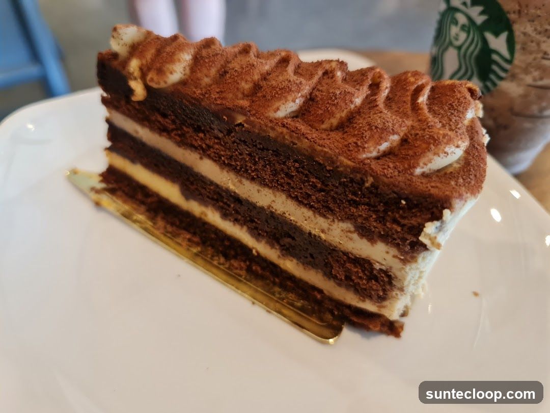Chocolate cake with cream and cocoa powder