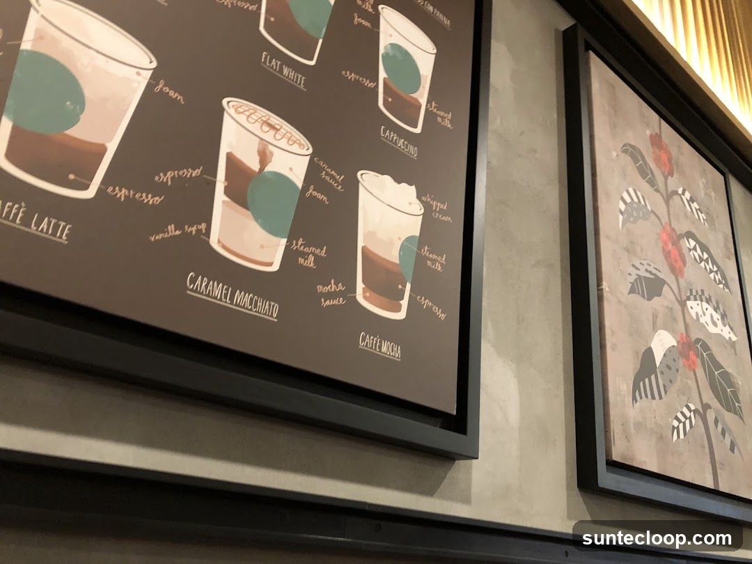 Coffee Drink Illustrations