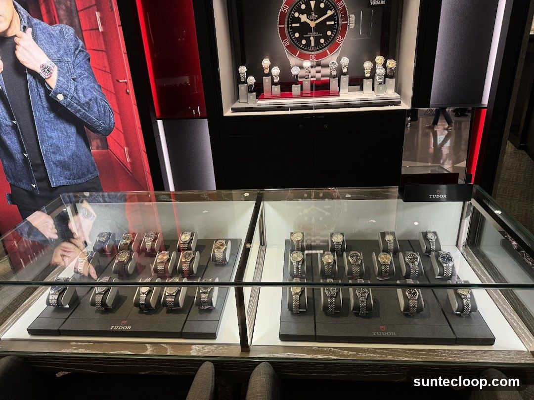 Tudor Watch Display