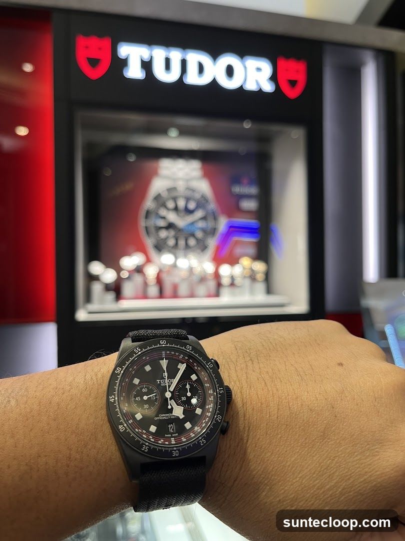 Tudor Watch Display