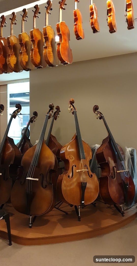 String Instruments Display