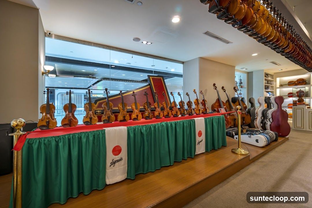 Violin Shop Display