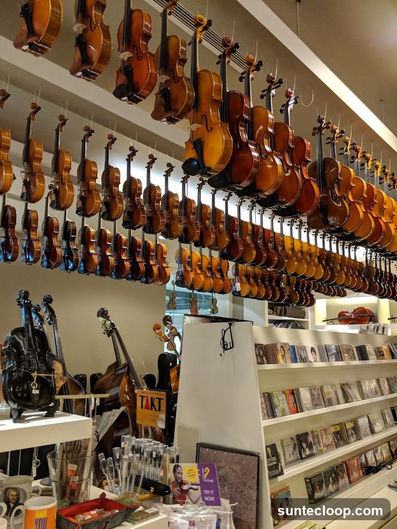 Violin Shop Interior