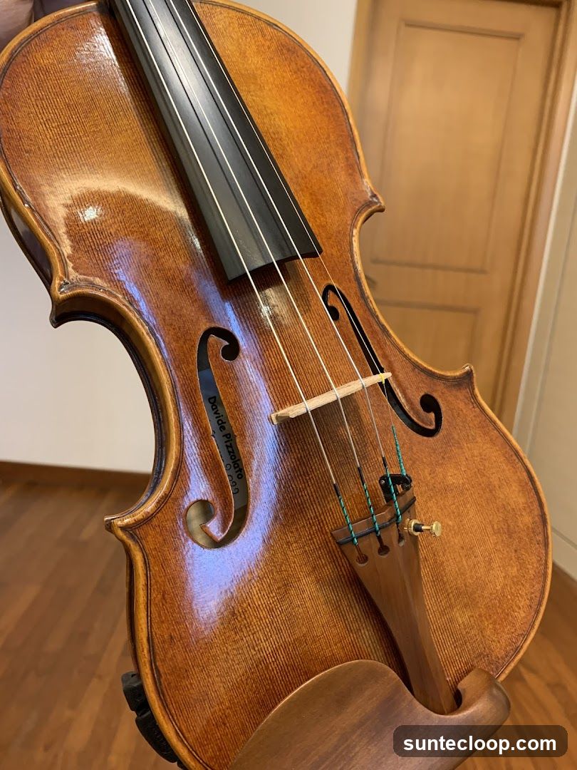 Violin