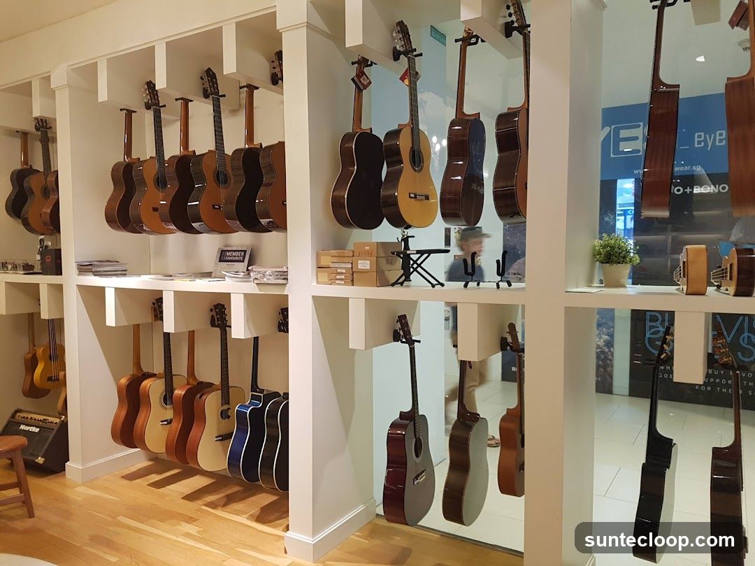 Guitars on Display