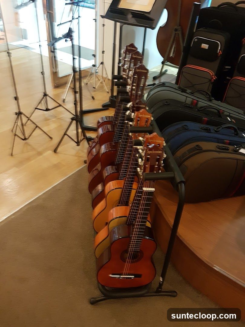 Guitars on Display