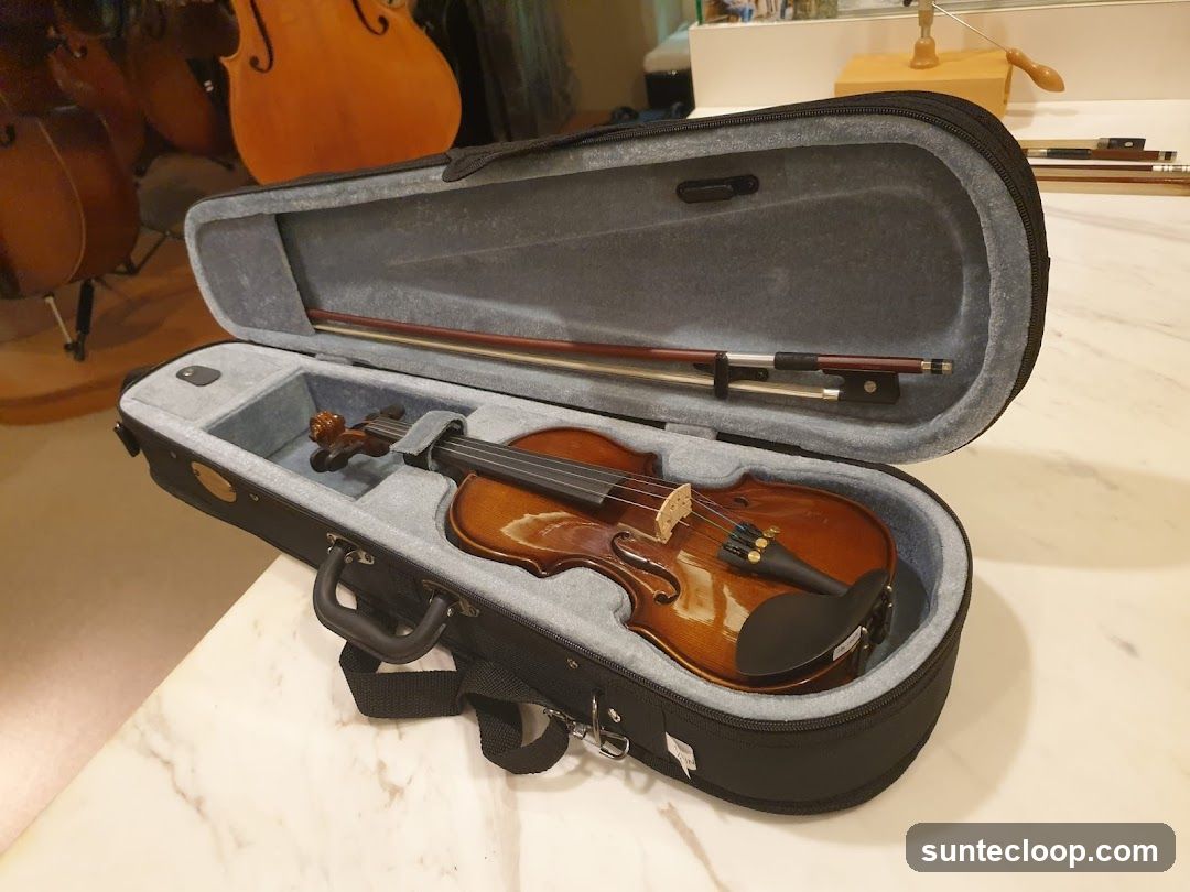 Violin in Case