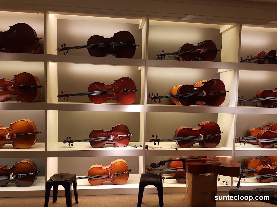 Cellos on Display