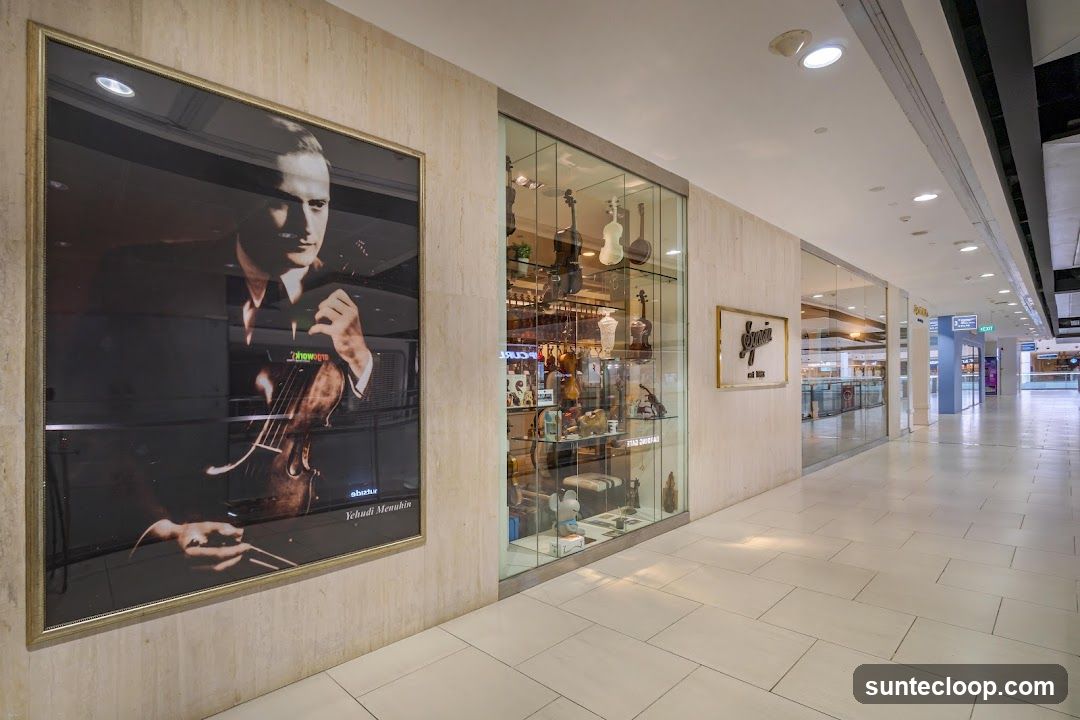 Violin Shop Display