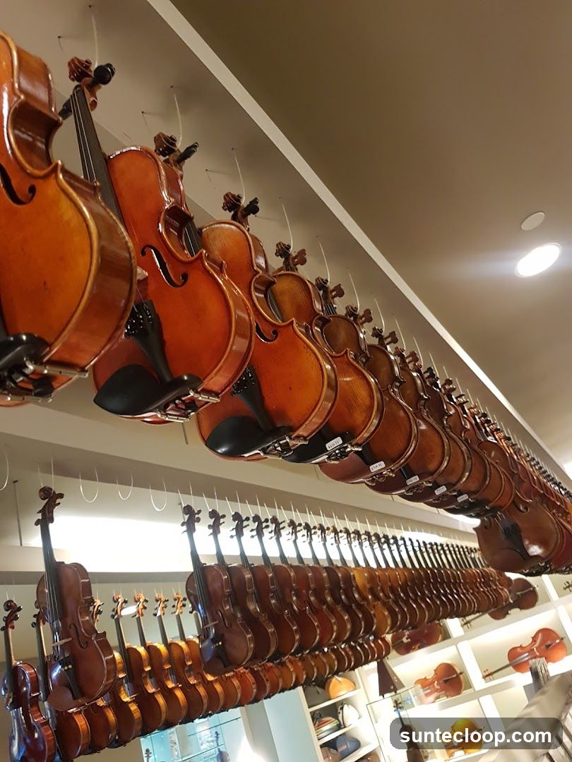 Violin Shop Display