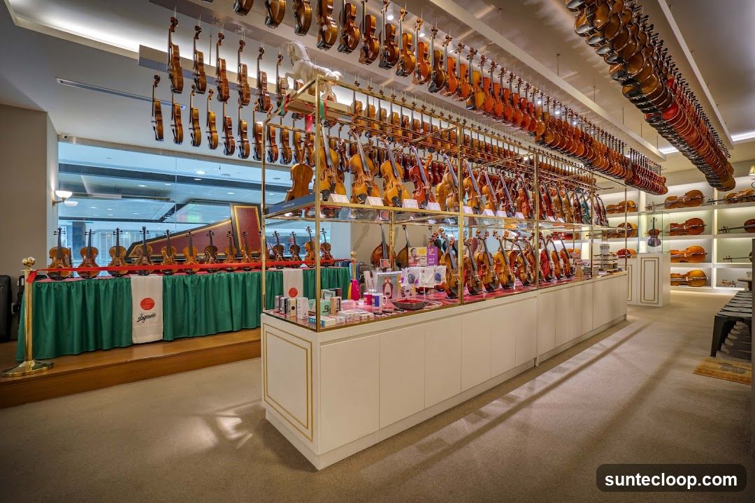 Violin Shop Interior