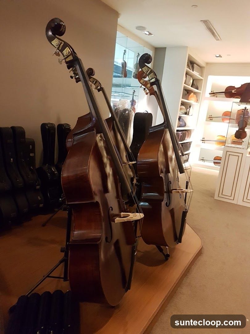 Double Basses on Display