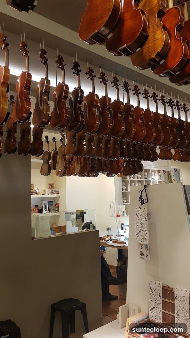 Violins Hanging in a Shop