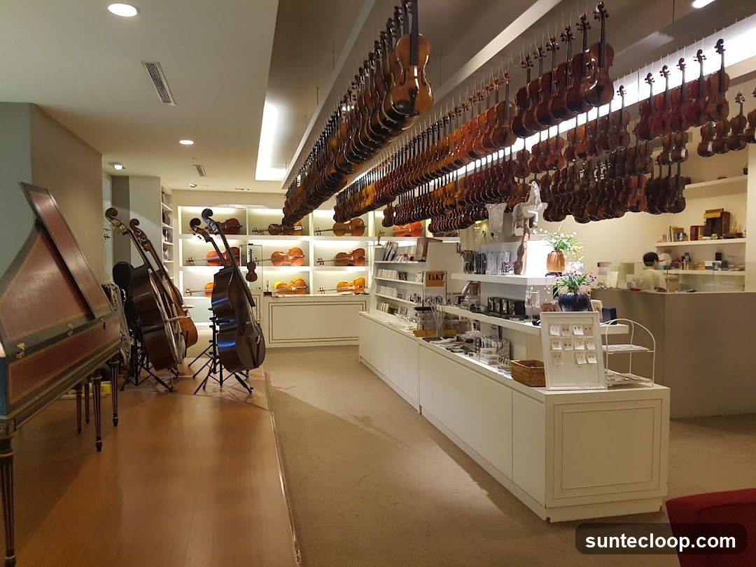 Musical Instrument Shop Interior