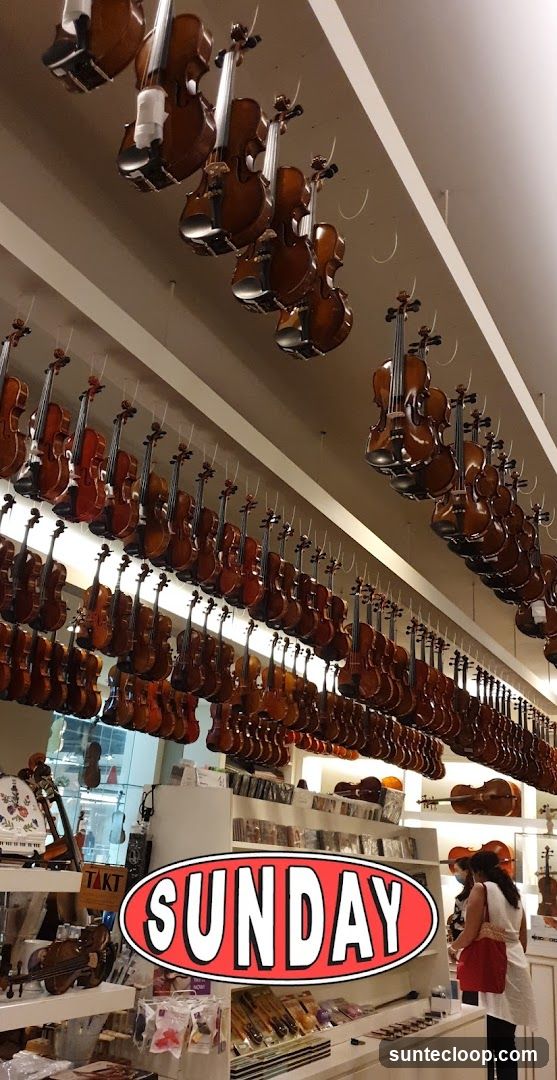 Violin Shop Interior