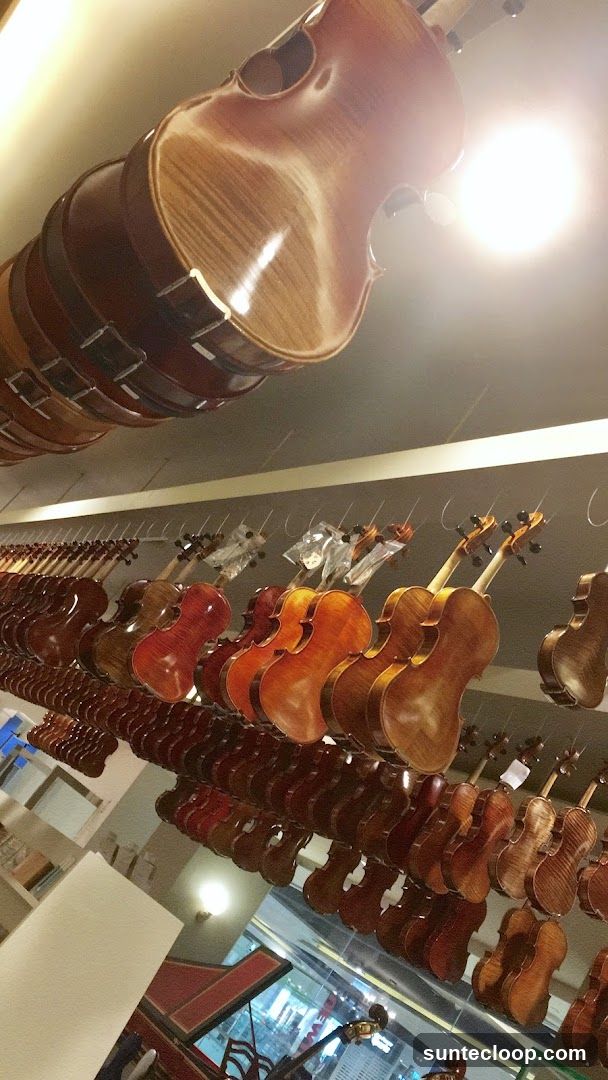 Violin Shop Display