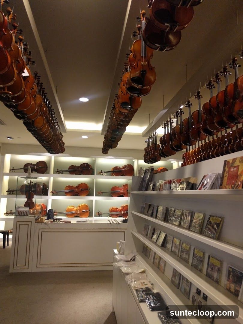 Violin Shop Interior