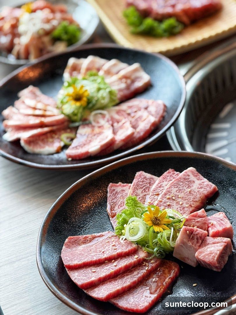 Assortment of Raw Meats