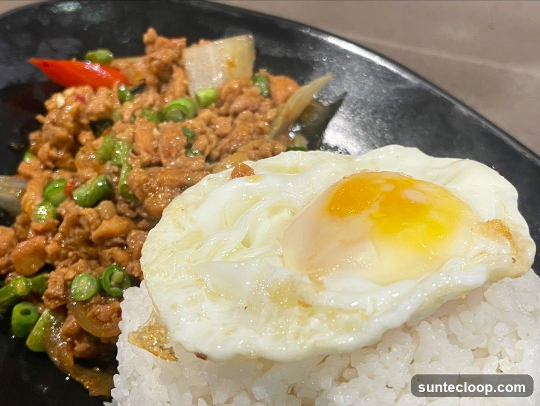 Spicy Chicken with Fried Egg and Rice