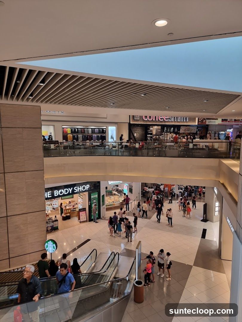 Mall Interior with Shops and Escalators