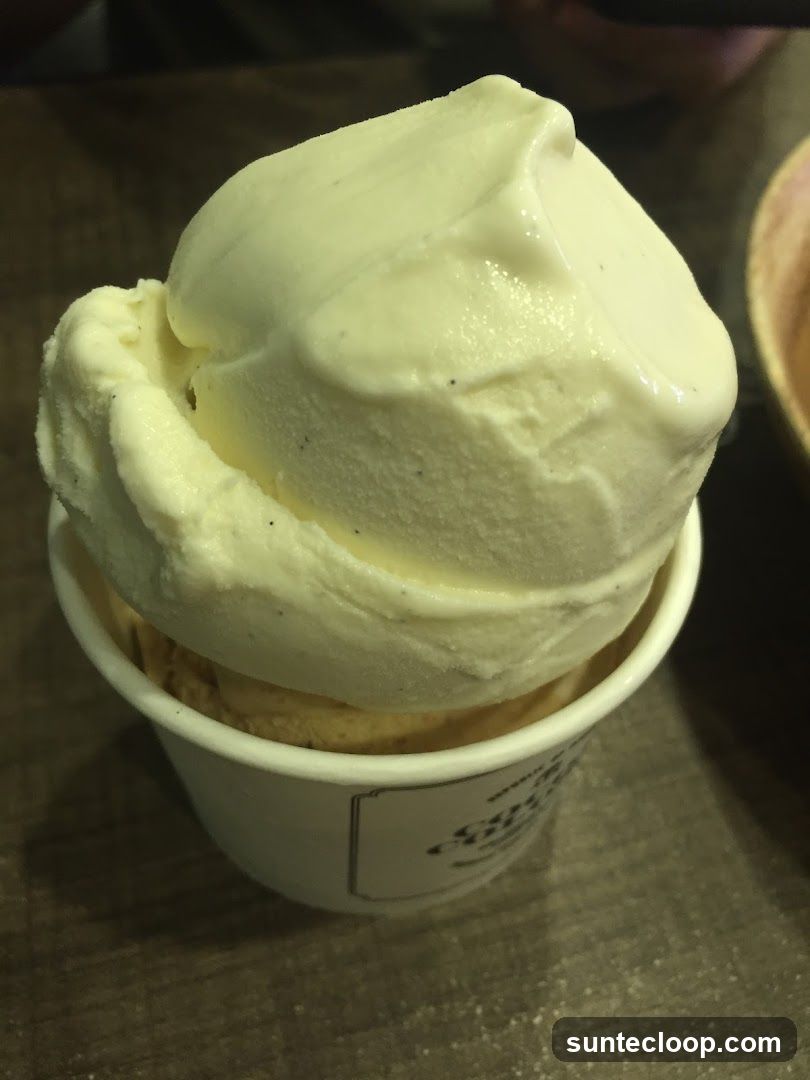 Ice Cream Cup