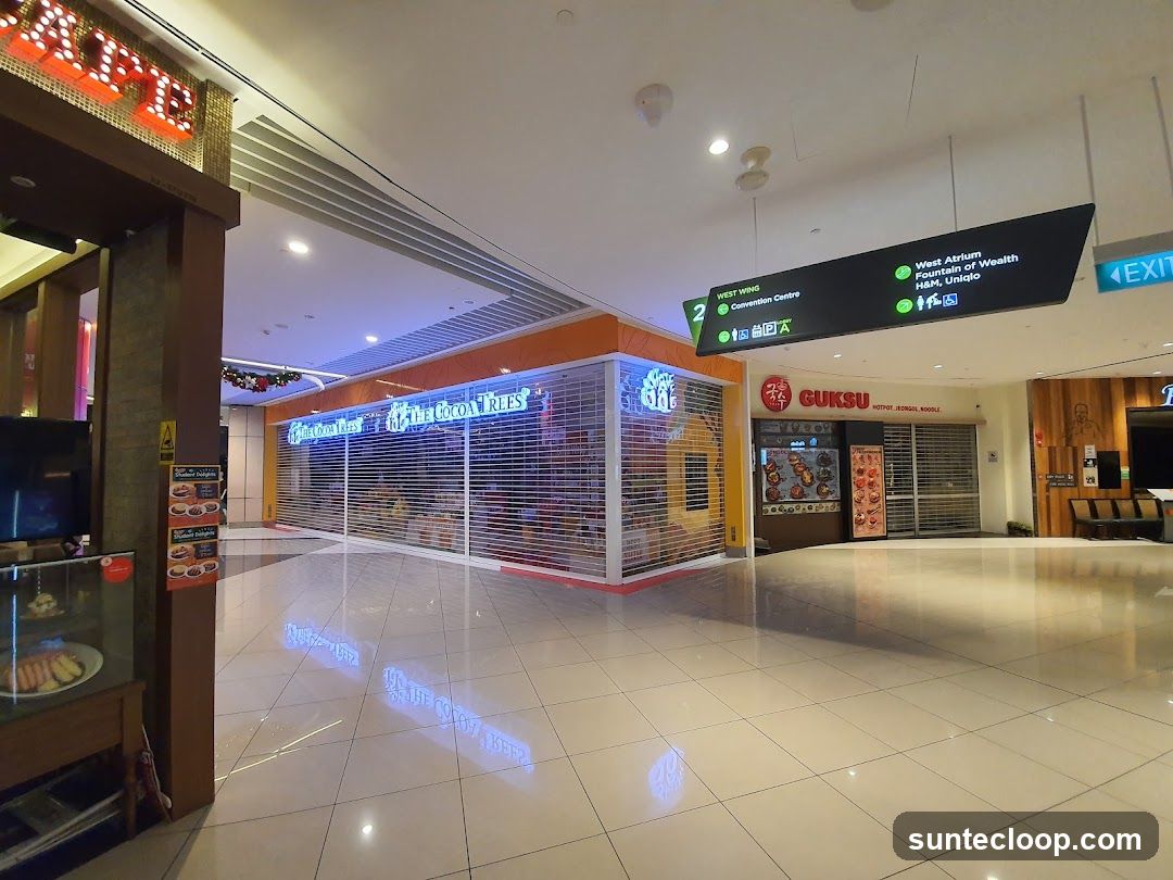 Mall Interior with Shops