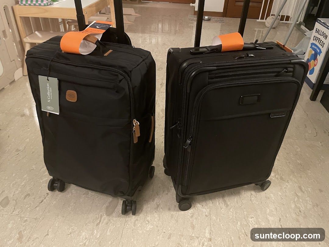 Two Black Suitcases