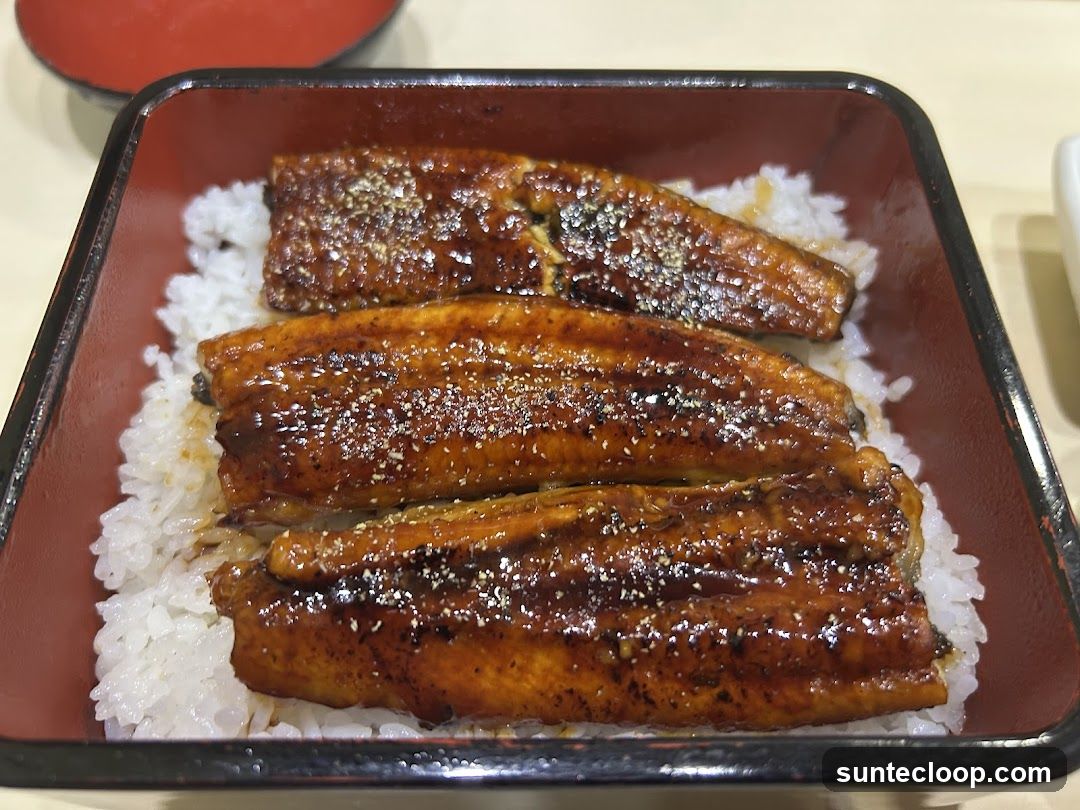 Unagi Donburi