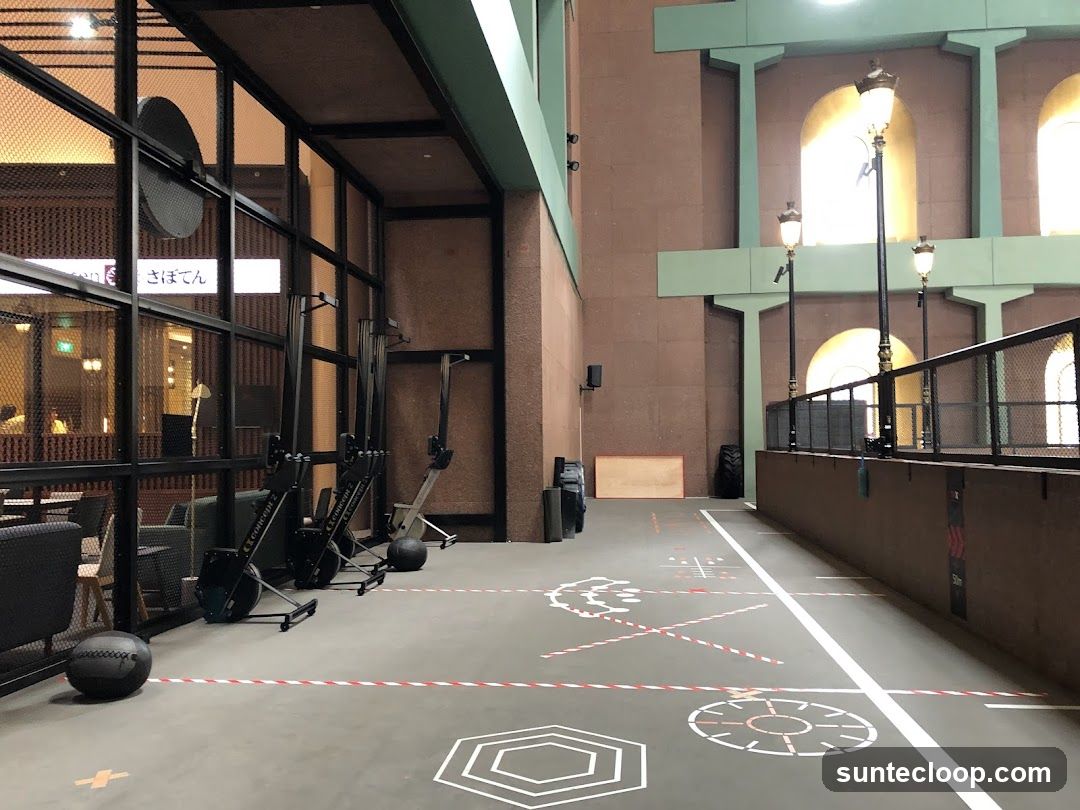 Gym with Rowing Machines and Training Markings