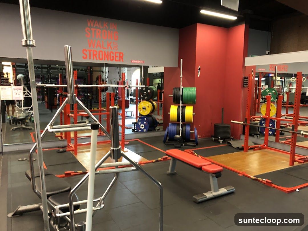 Gym Interior with Weightlifting Equipment