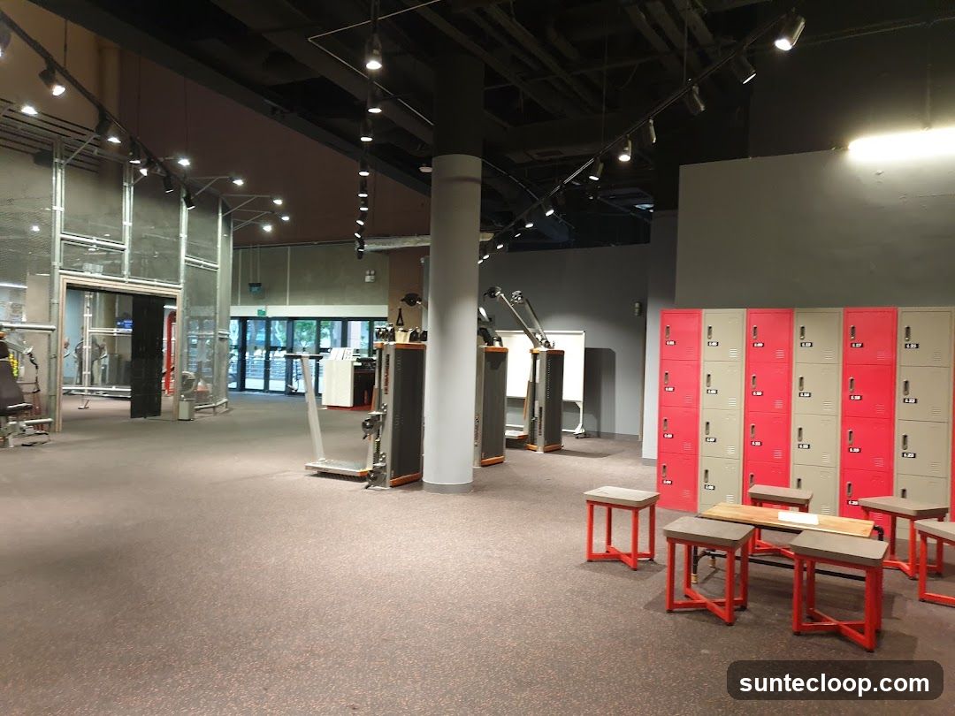 Gym Interior with Lockers and Equipment