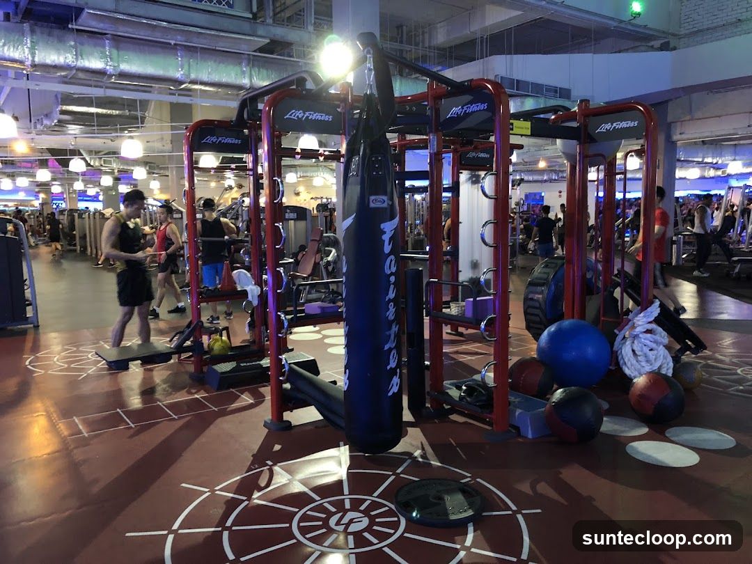Gym Interior with Fitness Equipment