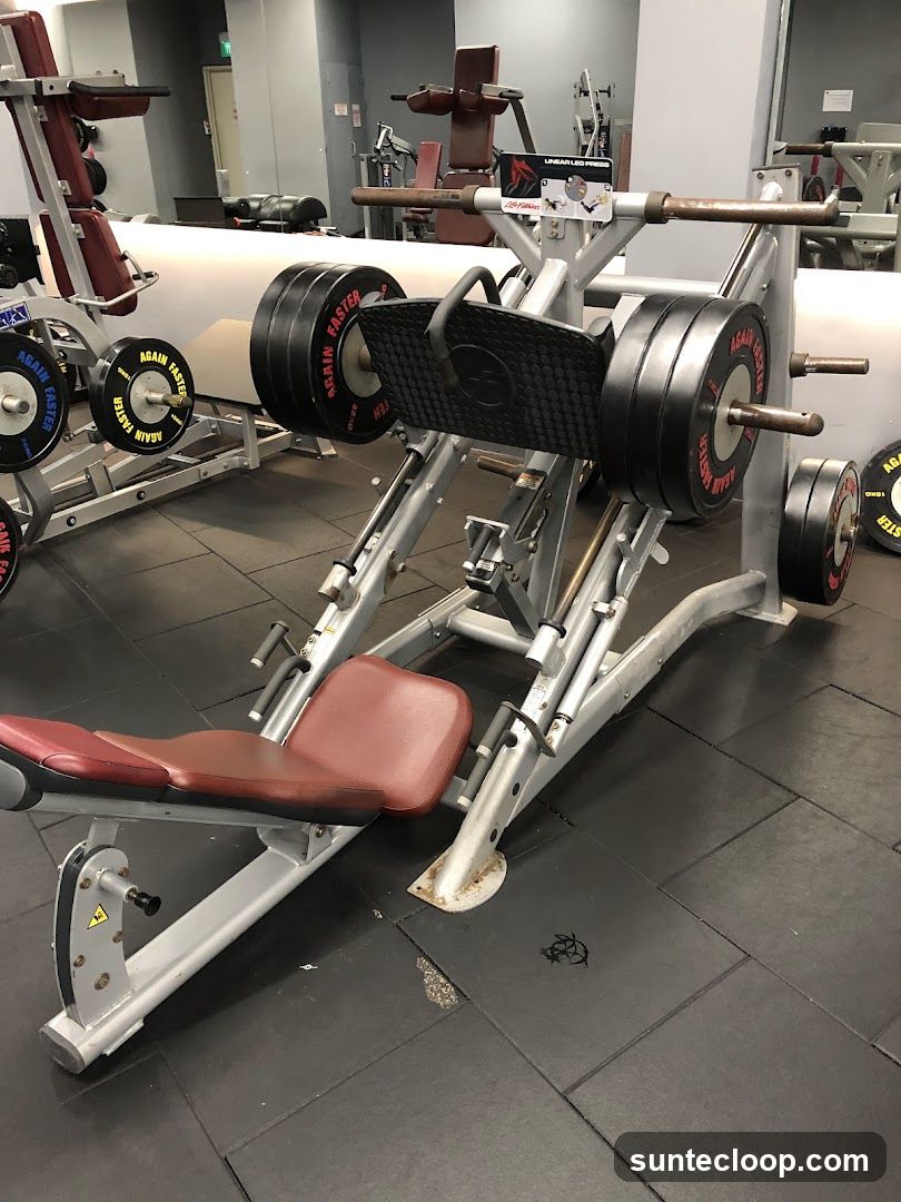 Gym Equipment