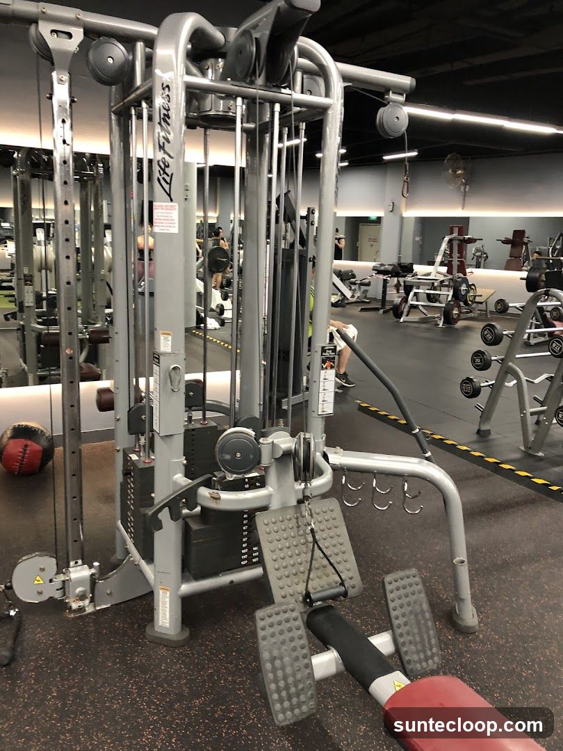Gym Equipment