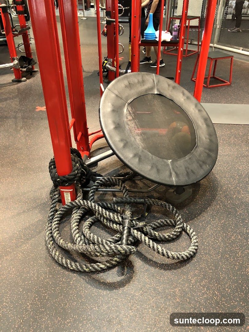 Gym Equipment