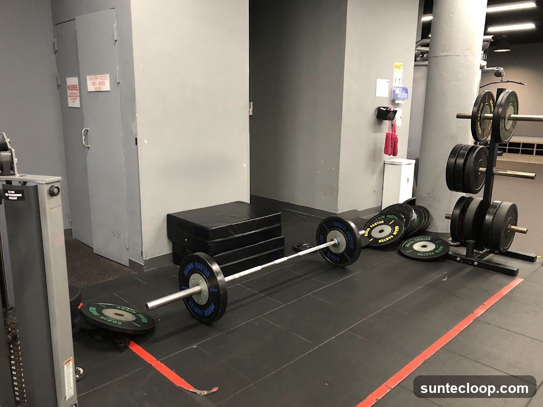 Gym Equipment