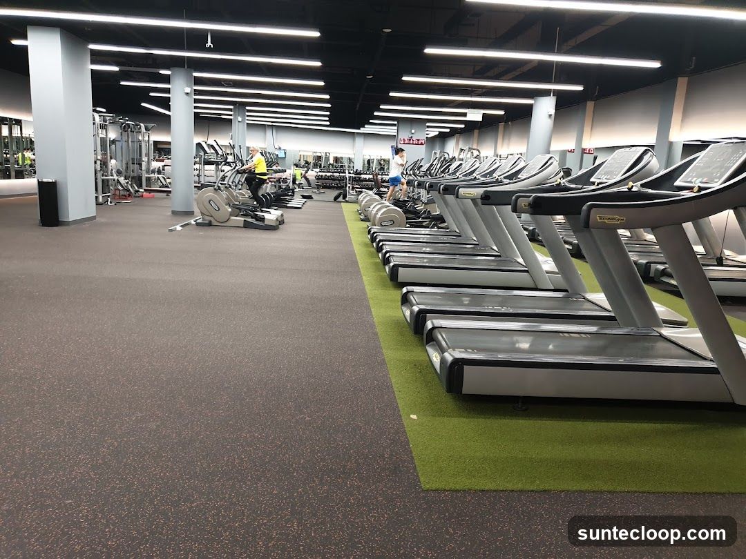Gym Interior with Treadmills and Exercise Equipment