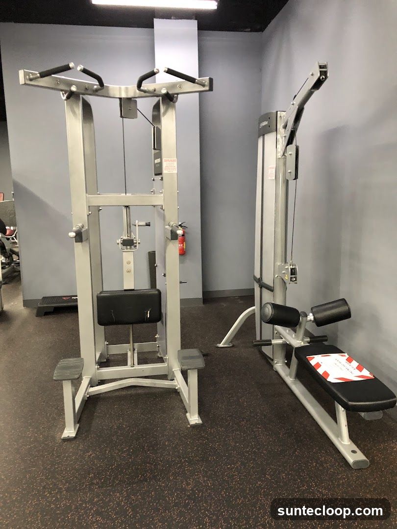 Gym Equipment