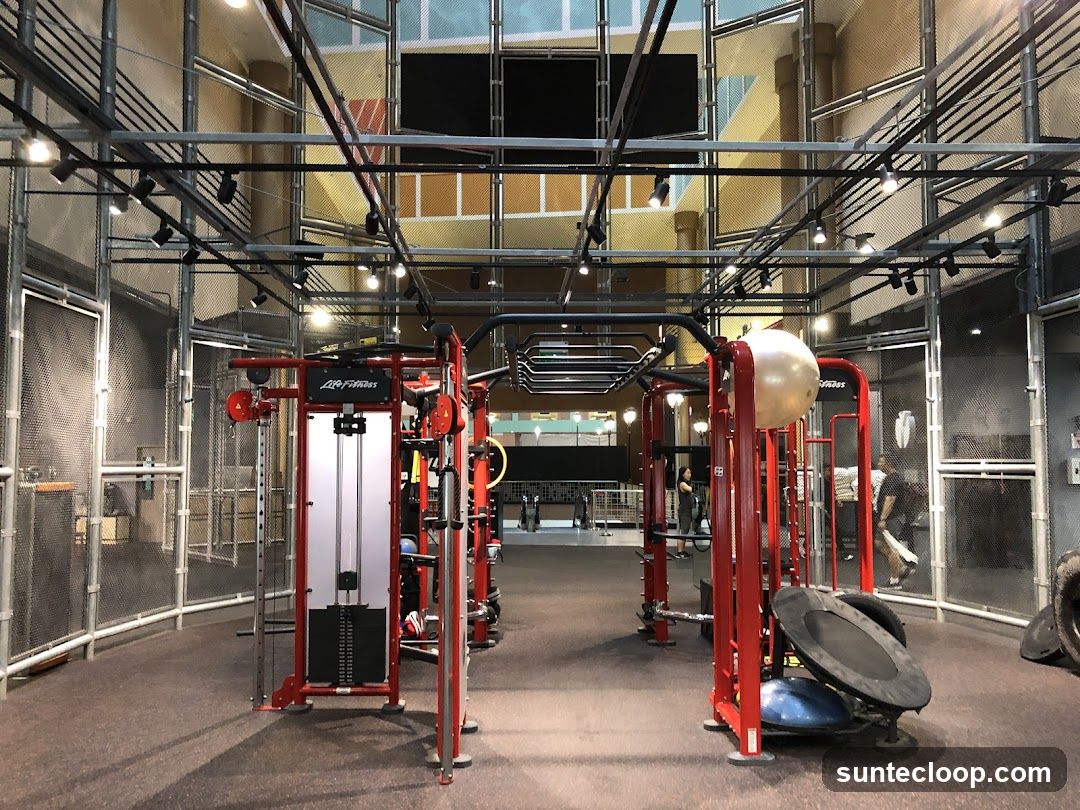Gym Equipment