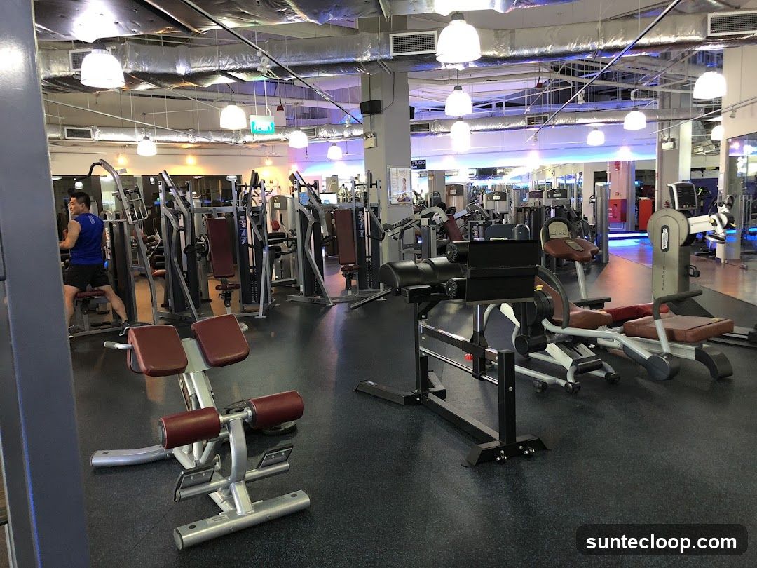 Gym Interior