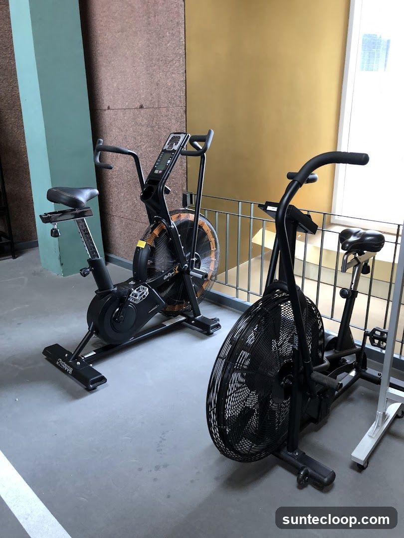 Two Air Bikes