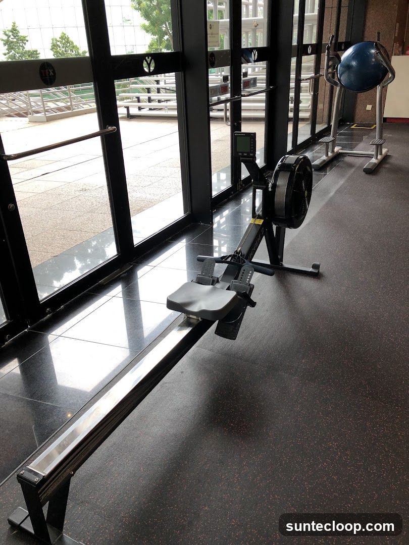 Gym Equipment