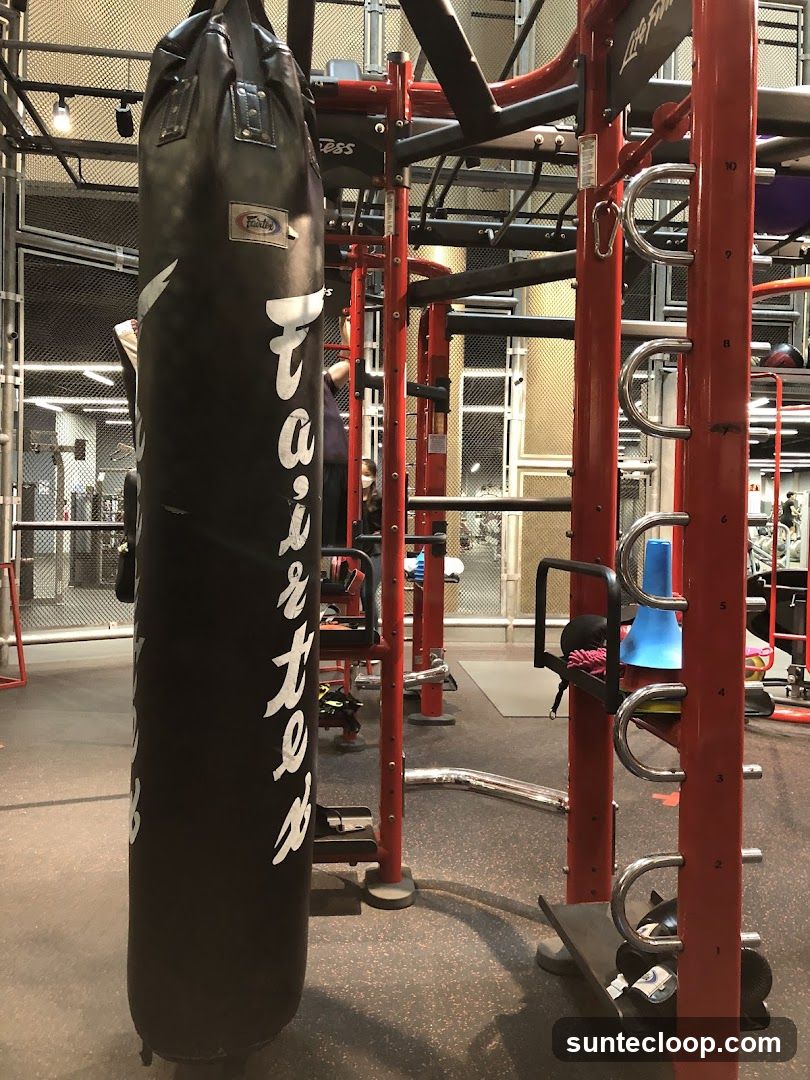 Gym Equipment